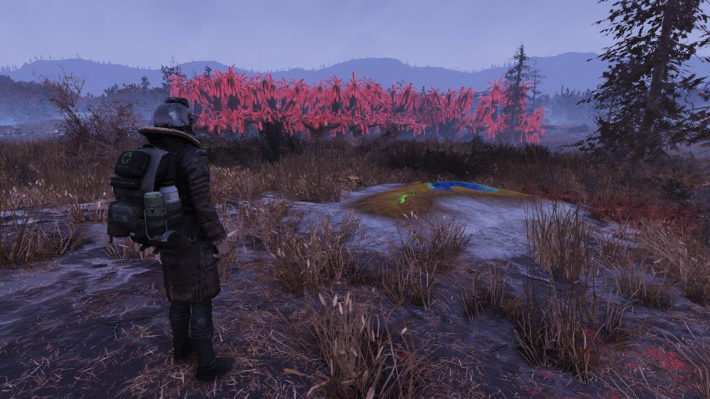 Fallout 76 Cranberry Bog Best Camp