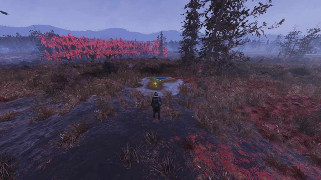 Fallout 76 Cranberry Bog Best Camp