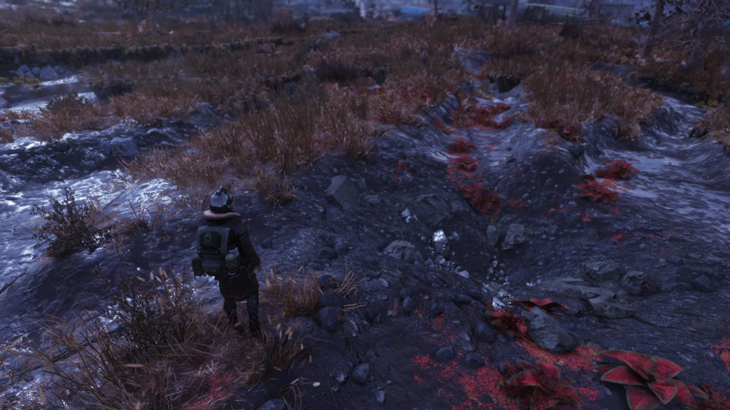 Fallout 76 Cranberry Bog Best Camp