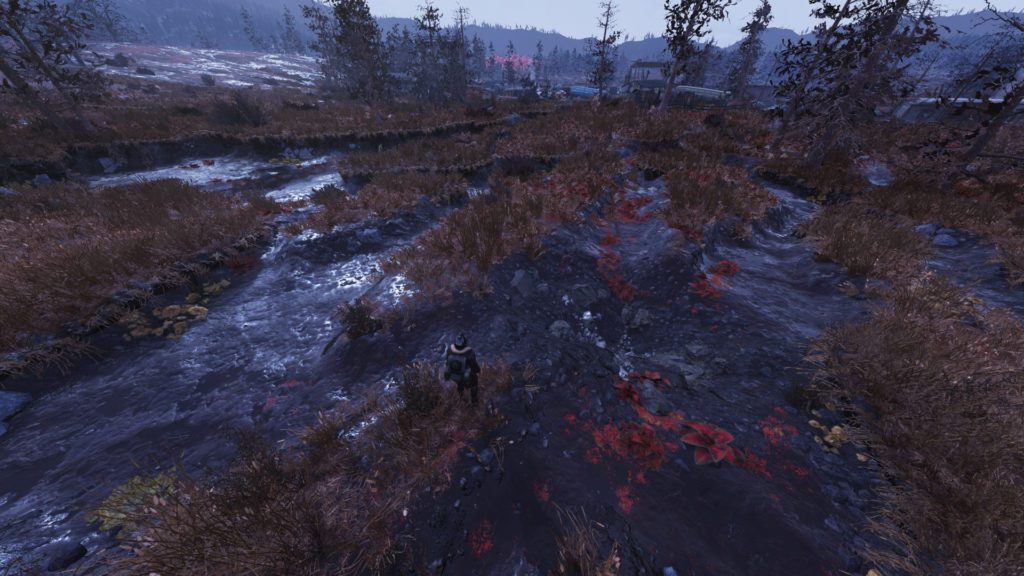 Fallout 76 Cranberry Bog Best Camp