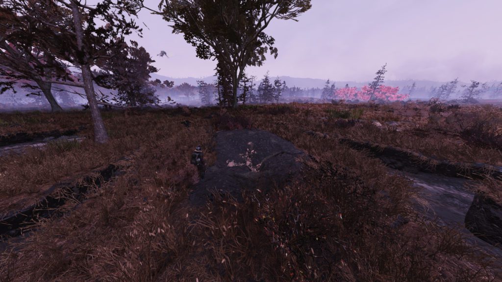 Fallout 76 Cranberry Bog Best Camp