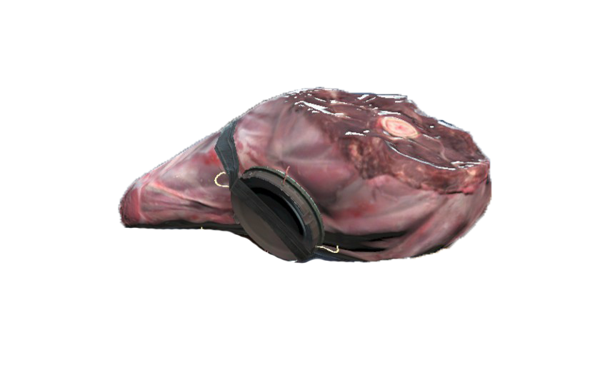 Fallout 76 Grenades