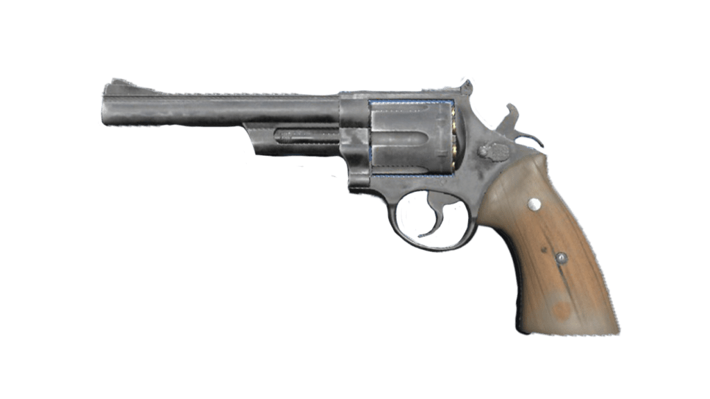 Fallout 76 Pistol
